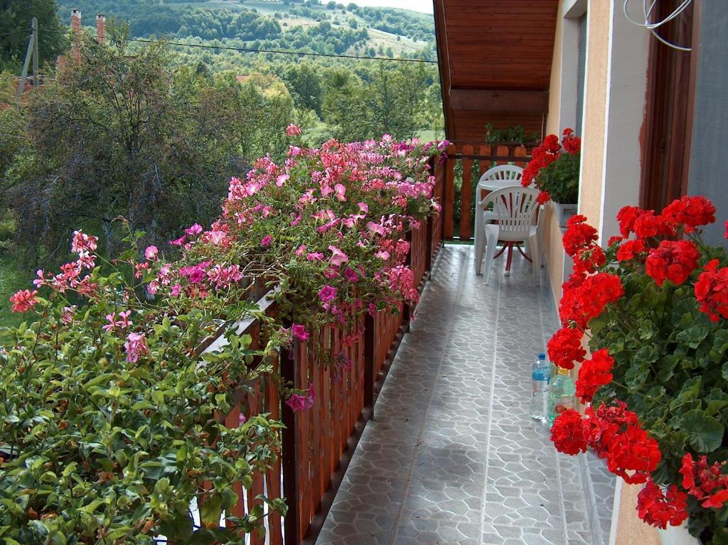 Apartments Ana Смолянац Номер фото