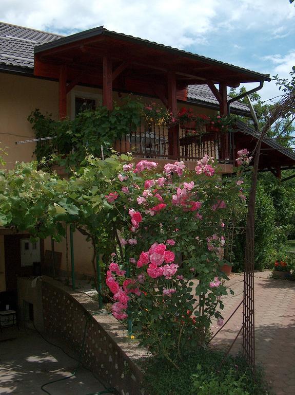Apartments Ana Смолянац Экстерьер фото